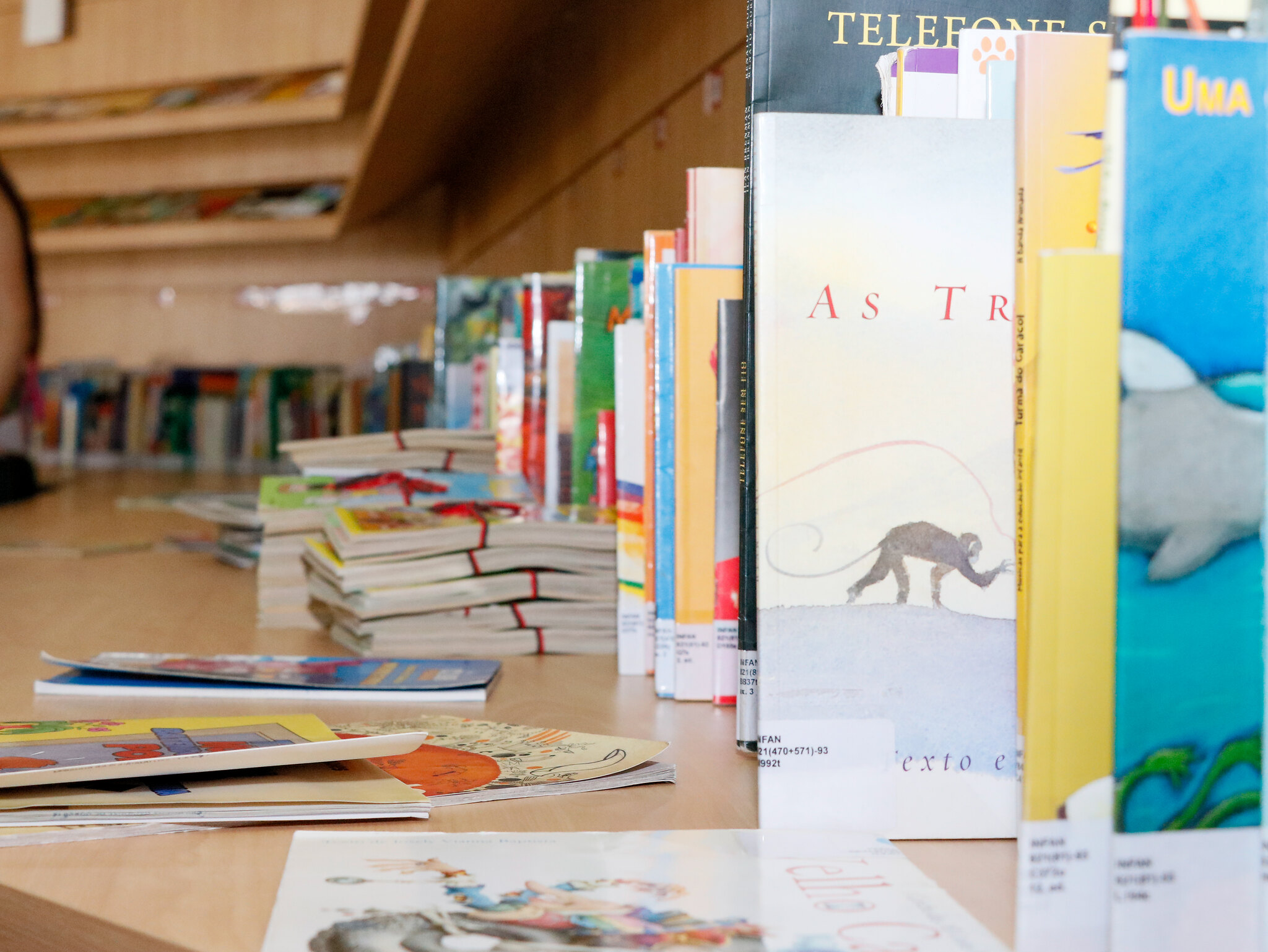 Livros enfileirados